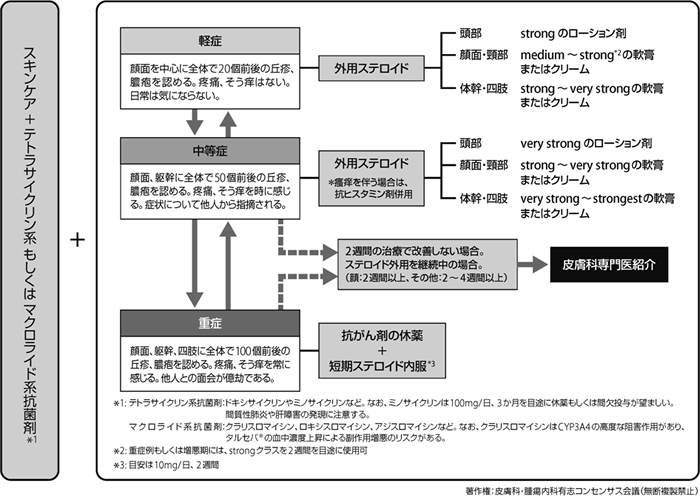 図2　ざ瘡様皮疹に対する治療アルゴリズム
