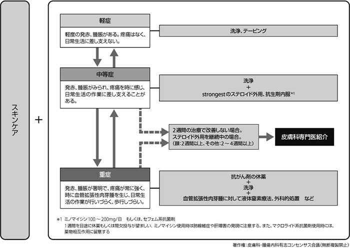 図5　爪囲炎に対する治療アルゴリズム