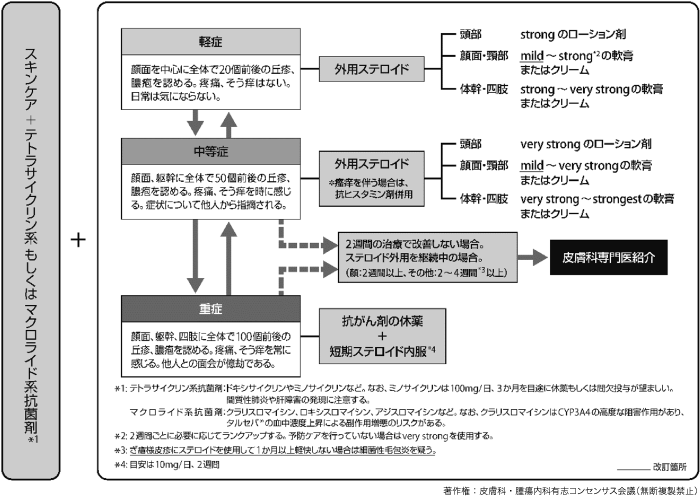 図1　ざ瘡様皮疹に対する治療アルゴリズム