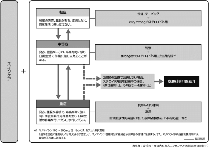 図2　爪囲炎に対する治療アルゴリズ